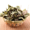 Herba Epimedii（Yin Yang Huo）